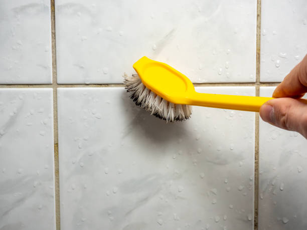 Best Emergency Mold Removal  in West Brownsville, PA