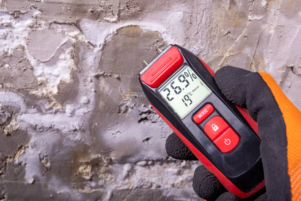 Best Mold Testing  in West Brownsville, PA