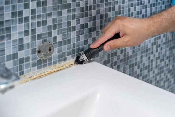West Brownsville, PA Mold Removal Company