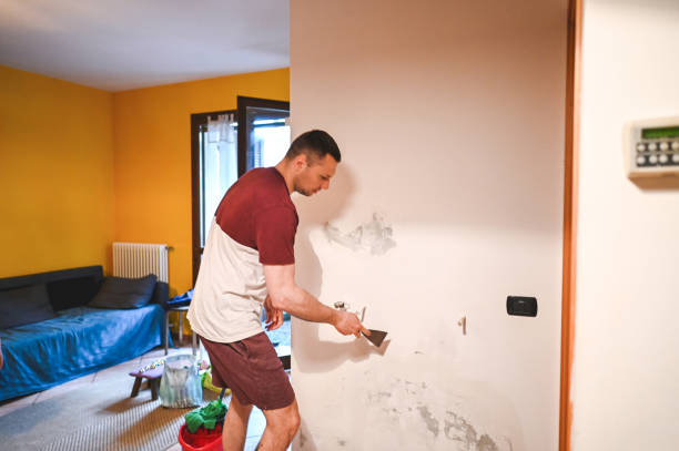 Best Mold Damage Repair  in West Brownsville, PA